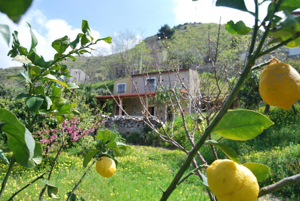 בלמונטה קלברו Al Melograno B&B חדר תמונה