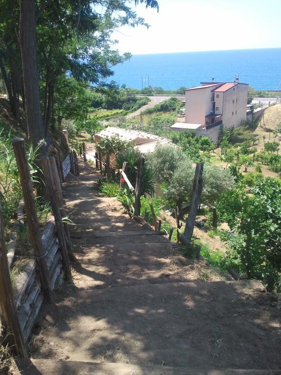 בלמונטה קלברו Al Melograno B&B מראה חיצוני תמונה