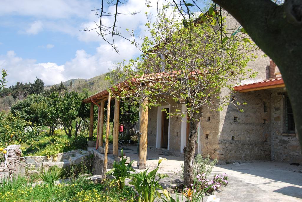 בלמונטה קלברו Al Melograno B&B מראה חיצוני תמונה