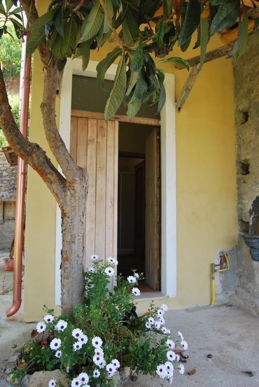 בלמונטה קלברו Al Melograno B&B מראה חיצוני תמונה